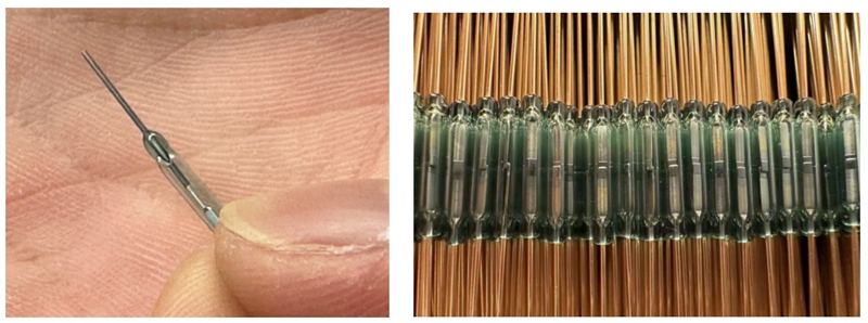 1756884998465.jpg 1756884998465.jpg